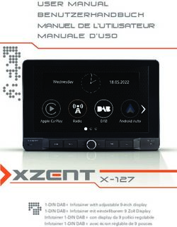 MANUEL DE L'UTILISATEUR MANUALE D'USO - User Manual - XZENT