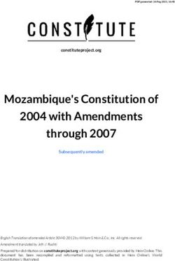 Mozambique's Constitution of 2004 with Amendments through 2007
