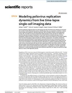 Modeling poliovirus replication dynamics from live time lapse single cell imaging data
