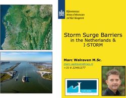 Storm Surge Barriers Marc Walraven M.Sc. +31 6 22461277 - I-STORM