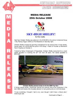 SKY-HIGH SHELBY! - Greyhound Clubs Australia
