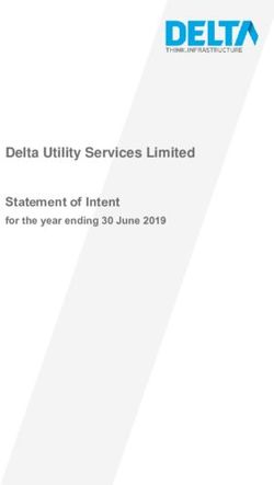 Delta Utility Services Limited Statement of Intent - for the year ending 30 June 2019
