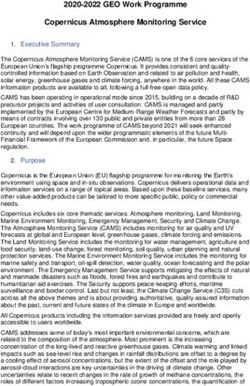 2020 2022 GEO Work Programme Copernicus Atmosphere Monitoring Service