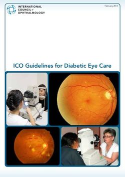 ICO Guidelines for Diabetic Eye Care - www.icoph.org