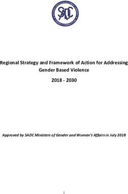 Regional Strategy And Framework Of Action For Addressing Gender Based ...