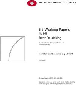 BIS Working Papers Debt De-risking No 868 - Bank for International Settlements