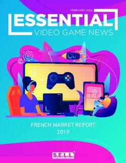 ESSENTIAL VIDEO GAME NEWS - FRENCH MARKET REPORT 2019 - Sell