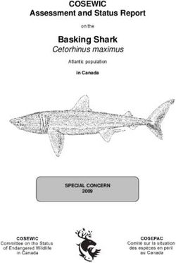 Basking Shark Cetorhinus maximus - COSEWIC Assessment and Status Report