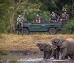 "With the Wildlife, for the Wildlife" - Timbavati Private Nature ...