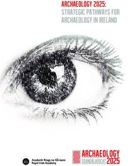 Archaeology 2025: Strategic Pathways for Archaeology in Ireland - Royal Irish Academy