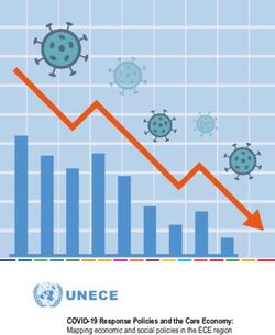 COVID-19 Response Policies and the Care Economy: Mapping economic and social policies in the ECE region - UNECE