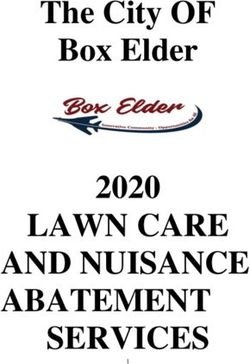 LAWN CARE AND NUISANCE ABATEMENT SERVICES - The City OF Box Elder 2020