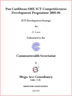 Pan Caribbean SME ICT Competitiveness Development Programme 2005-06 - Commonwealth Secretariat Mega Ace Consultancy - ICT Development Strategy for ...