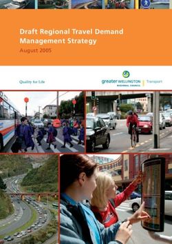 Draft Regional Travel Demand Management Strategy - August 2005