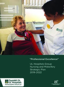 "Professional Excellence" - UL Hospitals Group Nursing and Midwifery Strategic Plan 2019-2022