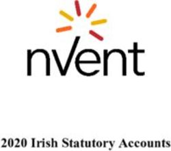 2020 Irish Statutory Accounts