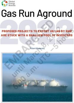 PROPOSED PROJECTS TO EXPORT US LNG BY SHIP ARE STUCK WITH A SHALLOW POOL OF INVESTORS - Global Energy Monitor