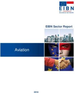 Aviation EIBN Sector Report