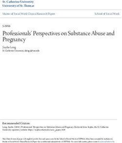 Professionals' Perspectives on Substance Abuse and Pregnancy - SOPHIA