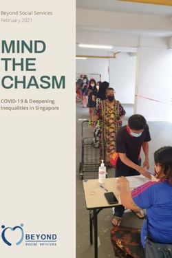 MIND THE CHASM Beyond Social Services February 2021 - COVID-19 & Deepening Inequalities in Singapore - Beyond Social Services Research