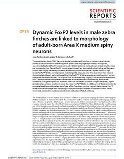 Dynamic FoxP2 levels in male zebra finches are linked to morphology of adult-born Area X medium spiny neurons