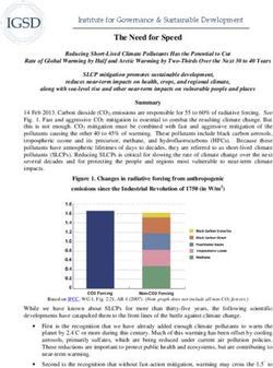 The Need for Speed Institute for Governance & Sustainable Development