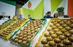 Climate Change RISKS AND OPPORTUNITIES - FOR ZESPRI AND THE KIWIFRUIT INDUSTRY