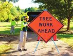 TREE TIPS - Bartlett Tree Experts