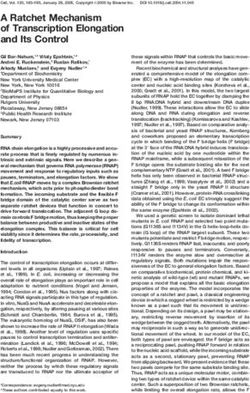 A Ratchet Mechanism of Transcription Elongation and Its Control