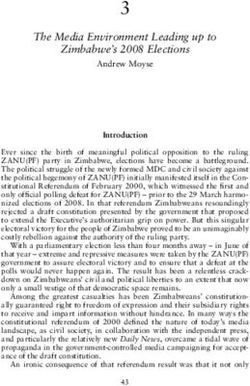 3 The Media Environment Leading up to Zimbabwe's 2008 Elections