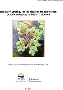 Recovery Strategy for the Mexican Mosquito Fern - (Azolla mexicana) in British Columbia