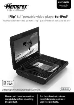 IFlip 8.4"portable video player for iPod