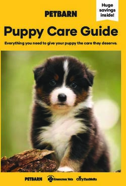 Puppy Care Guide - Puppy Care Guide - Huge Savings Inside! Inside ...