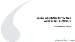 Copper Substitution Survey 2021 World Copper Conference - Krisztina Kalman-Schueler