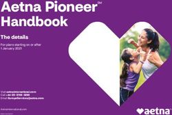 Handbook Aetna PioneerSM - The details