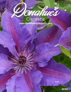 Clematis www.donahuesclematis.com - Donahue's Greenhouse