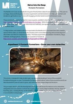 Fantastic Formations - Marble Arch Caves