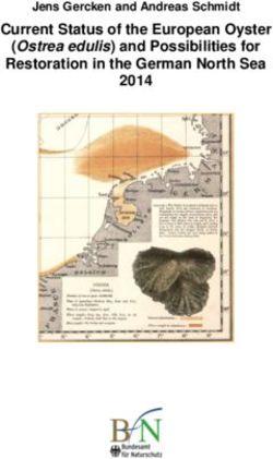 CURRENT STATUS OF THE EUROPEAN OYSTER - (OSTREA EDULIS) AND POSSIBILITIES FOR RESTORATION IN THE GERMAN NORTH SEA - BFN
