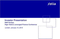 Investor Presentation - BNP Paribas High Yield & Leveraged Finance Conference London, January 15, 2015 - Xella