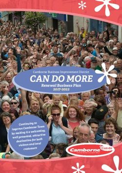 CAN DO MORE Renewal Business Plan 2017-2022 - Continuing to improve Camborne Town by making it a welcoming, well promoted, attractive destination ...
