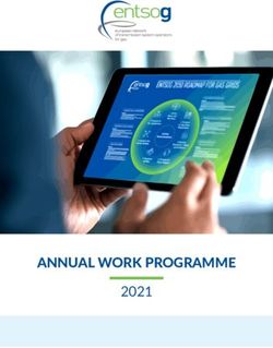ANNUAL WORK PROGRAMME 2021