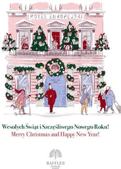 Wesołych Świąt i Szczęśliwego Nowego Roku! - Merry Christmas and Happy New Year!