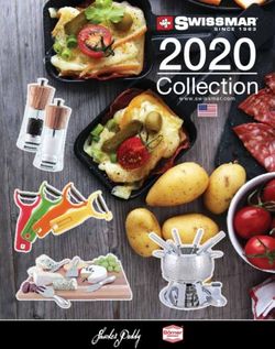 2020 Collection www.swissmar.com - Brown South