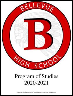 Program of Studies 2020-2021 - Bellevue City Schools