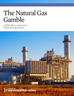 The Natural Gas Gamble - A Risky Bet on America's Clean Energy Future