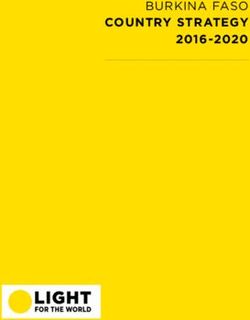 COUNTRY STRATEGY 2016-2020 - BURKINA FASO