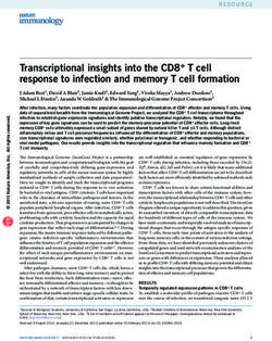 Transcriptional insights into the CD8+ T cell response to infection and memory T cell formation