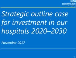 Strategic outline case for investment in our hospitals 2020-2030 - November 2017