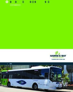 REGIONAL PUBLIC TRANSPORT PLAN 2019 - 2029 - JULY 2019 - Hawke's Bay Regional Council