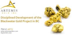 Disciplined Development of the Blackwater Gold Project in BC - TSX-V: ARTG www.artemisgoldinc.com September 2020 - Artemis Gold Inc.